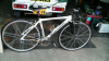 sample_4493.jpg